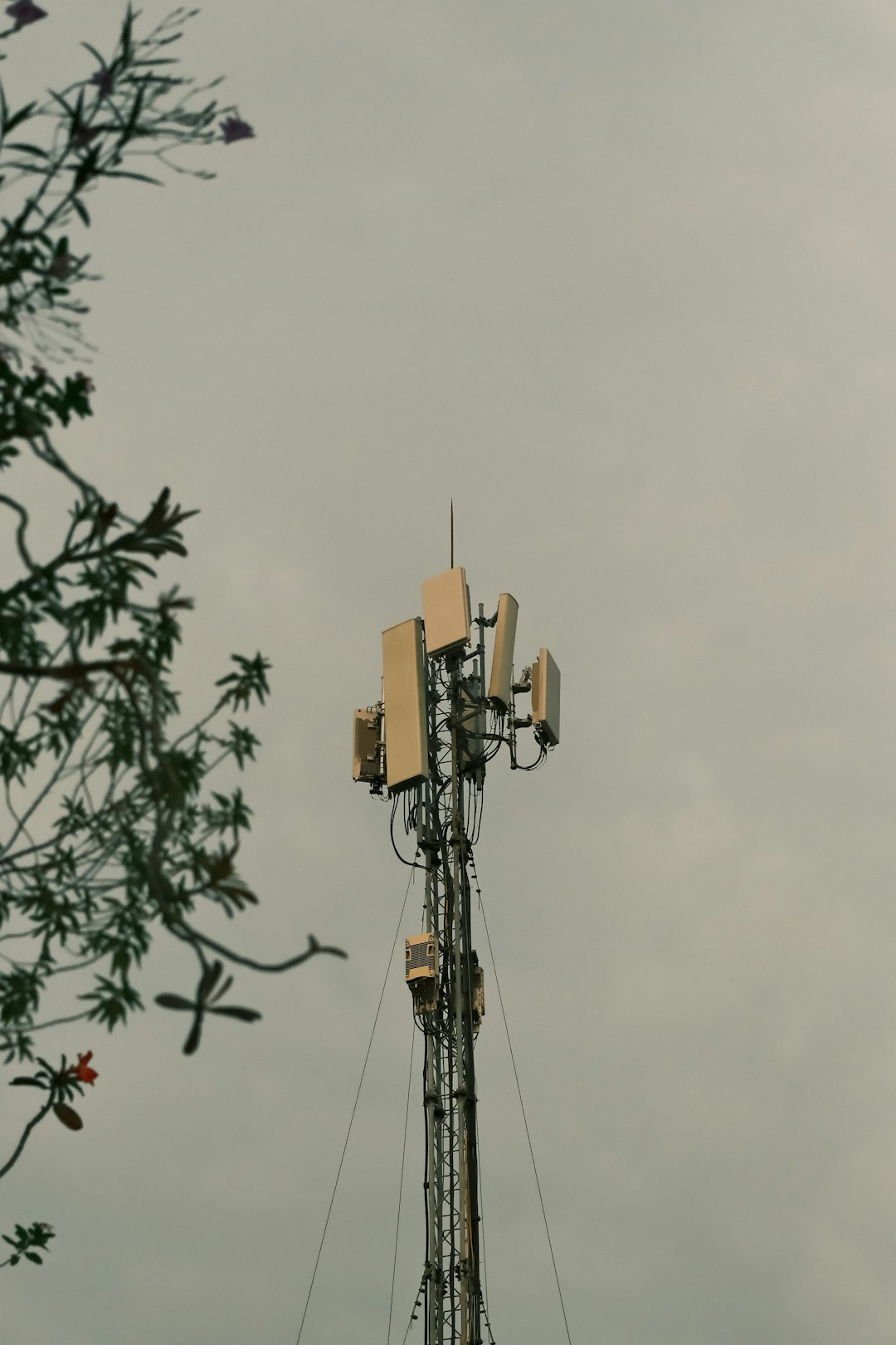 Data Optimization for Mobile